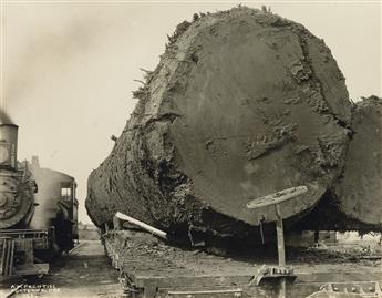 (LUMBER INDUSTRY) Binder containing 36 occupational photographs depicting woodlands in Portland,